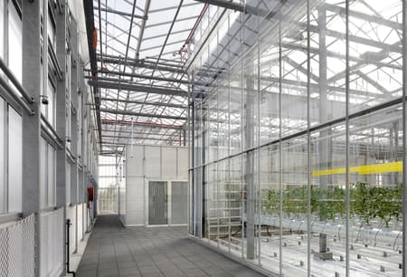 Rooftop Greenhouse Agrotopia